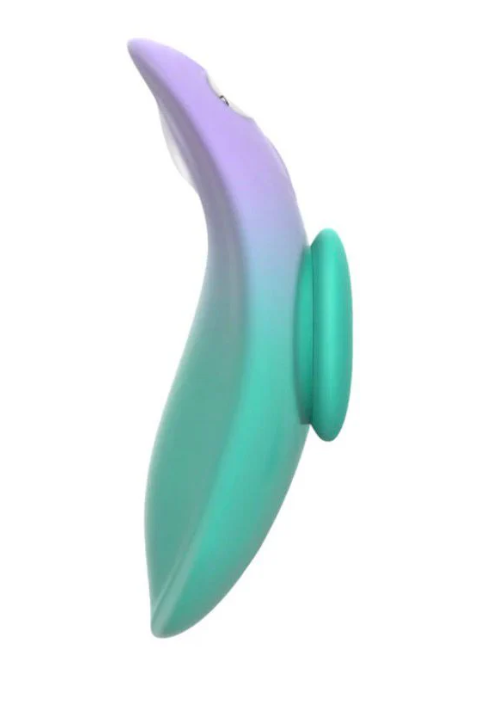 Remote Panty Vibe